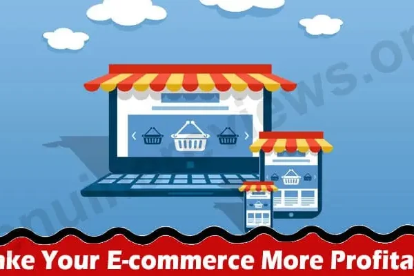 How to Make Your E-commerce More Profitable