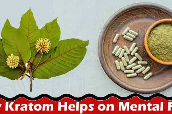 General Information; Kratom Helps on Mental Focus