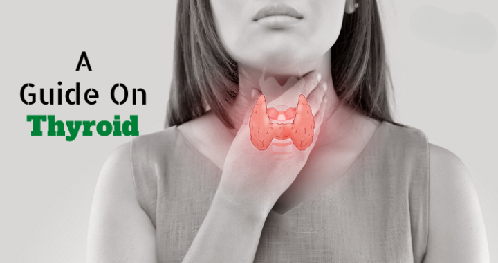 The Complete Guide to Understanding Thyroid Health