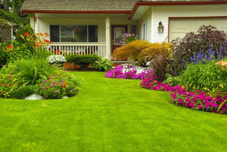 Tips for Maintaining a Beautiful Garden