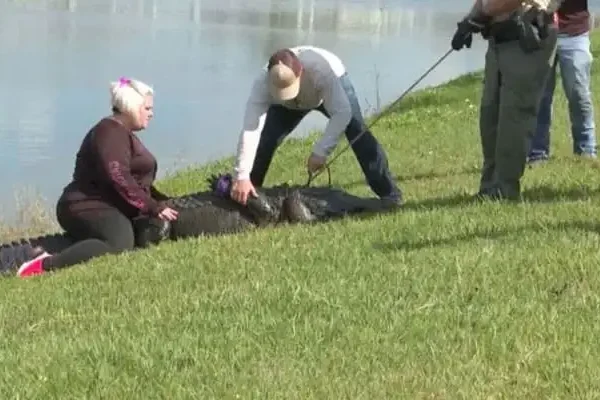 Latest News; Alligator Attack Video Unedited Video Reddit