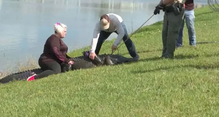 Latest News; Alligator Attack Video Unedited Video Reddit