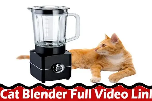 Latest News; Cat Blender Full Video Link