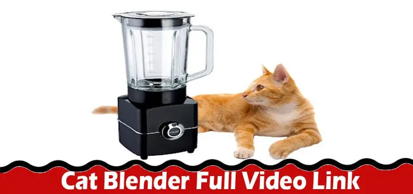 Latest News; Cat Blender Full Video Link