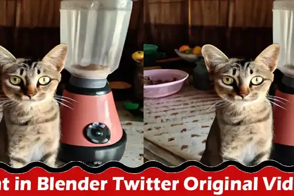 Latest News. Cat in Blender Twitter Original Video