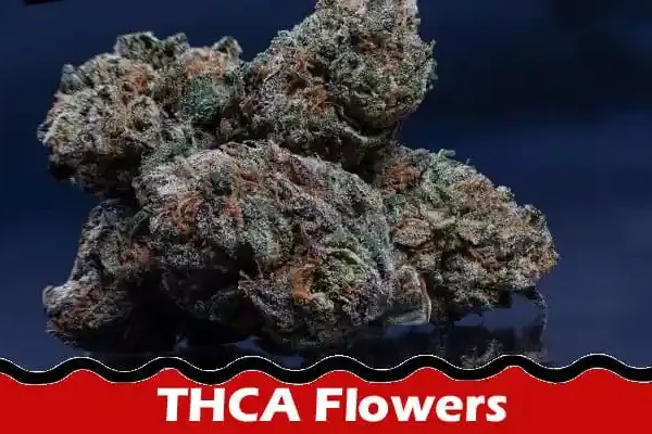 Complete Information About THCA Flowers