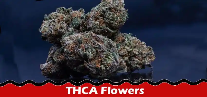 Complete Information About THCA Flowers