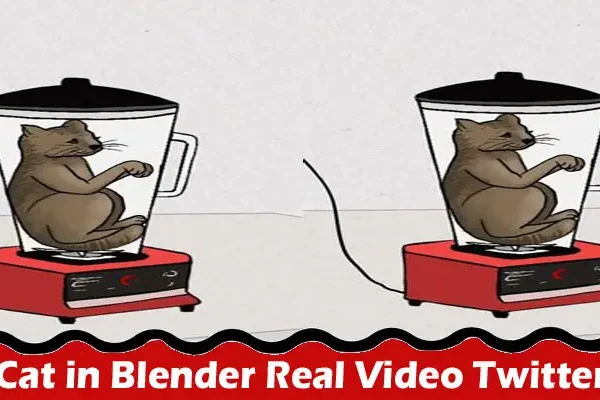 Latest News; Cat in Blender Real Video Twitter