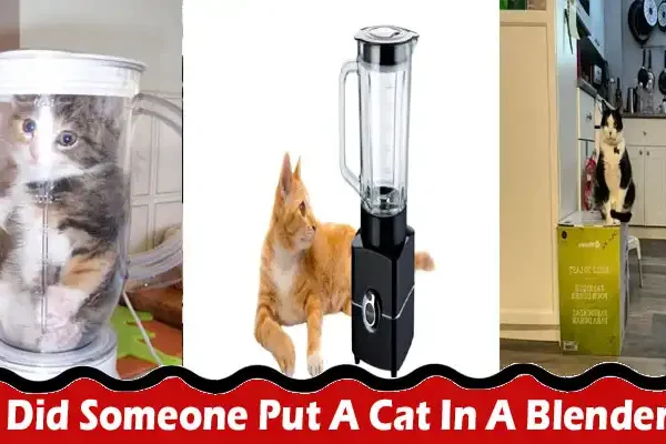 Latest News; Did Someone Put A Cat In A Blender