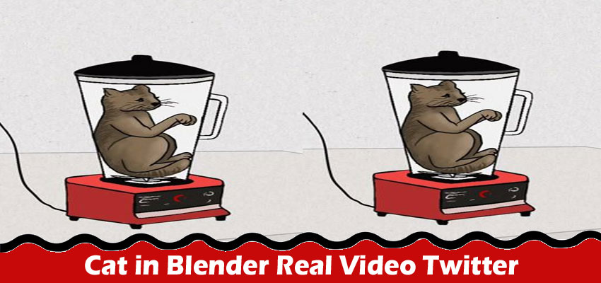 Latest News Cat in Blender Real Video Twitter