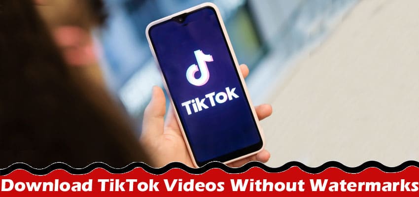 Complete Information About PPPTik.com Review - A Free and Easy Way to Download TikTok Videos Without Watermarks