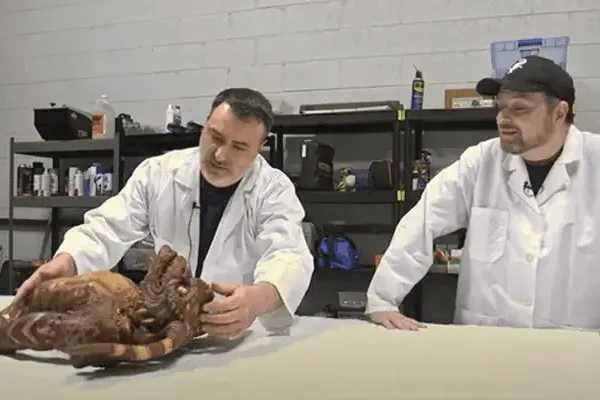 Latest News Alien Autopsy Reddit