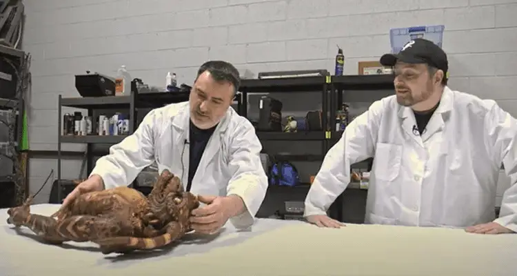 Latest News Alien Autopsy Reddit