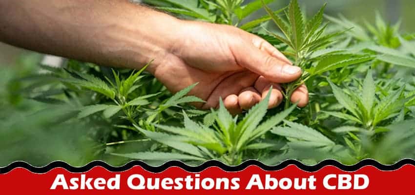 Latest News Commonly Asked Questions About CBD