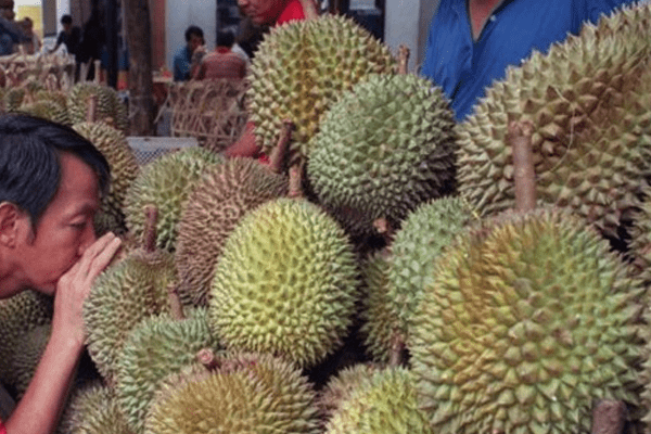 Latest News Guy Selling Durian Incident Video