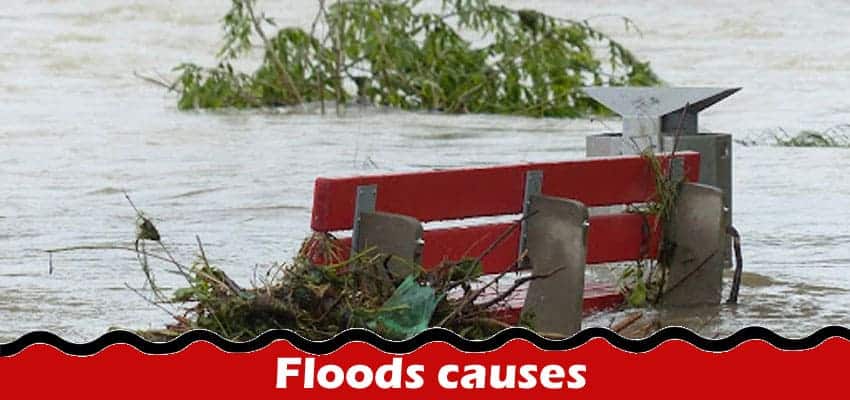 Floods causes The main causes, effects, and methods of control