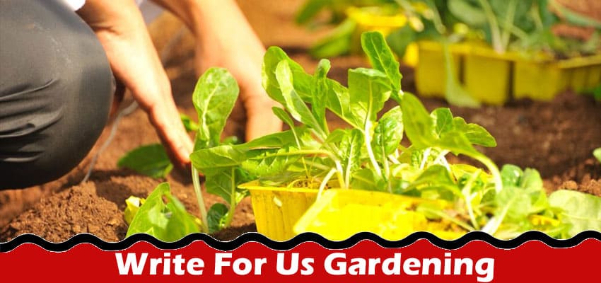 Complete A Guide to Write For Us Gardening