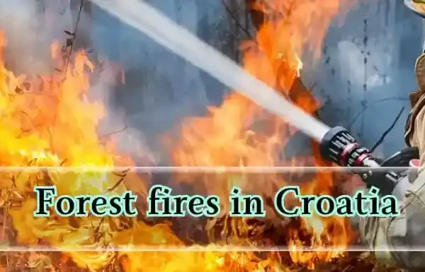 Forest fires in Croatia