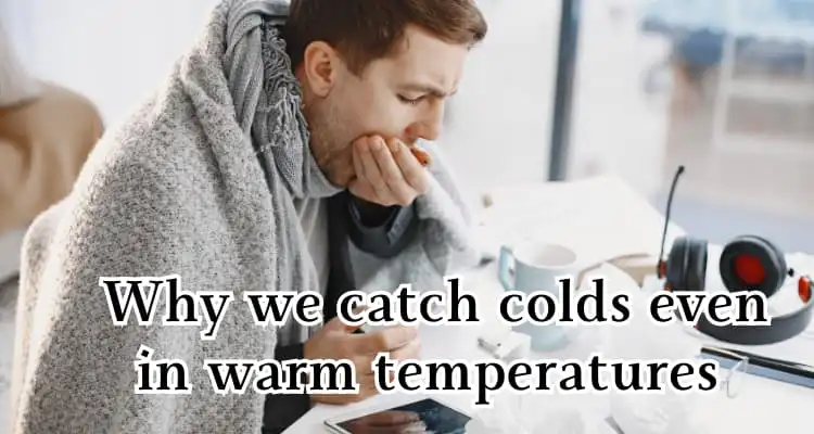 Latest News Why we catch colds even in warm temperatures