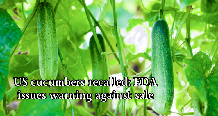 More Info; US cucumbers recalled FDA issues warning against sale