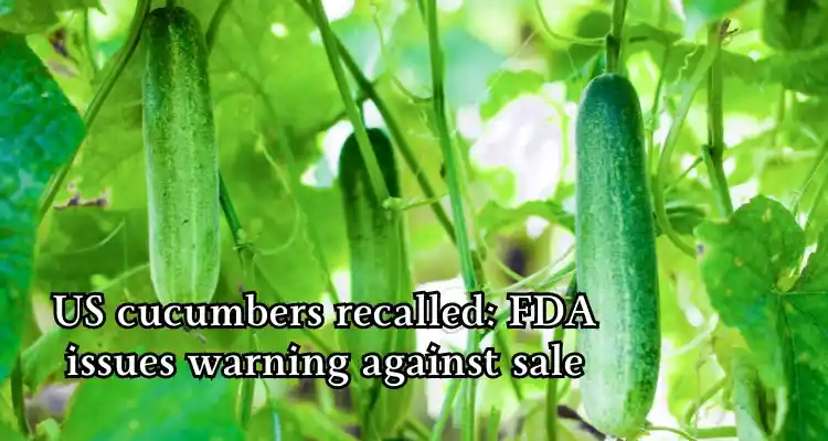 More Info; US cucumbers recalled FDA issues warning against sale