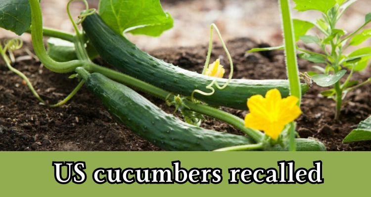 cucumbers