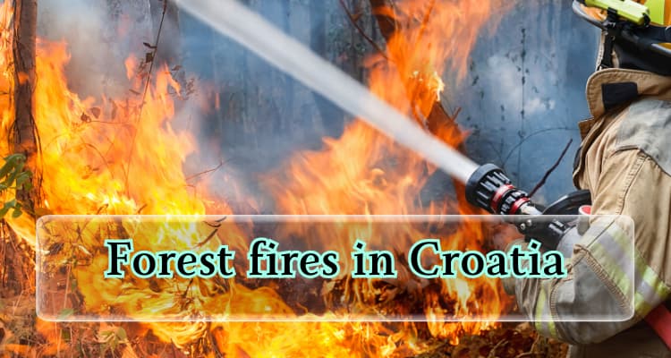 Read and visit; Forest fires in Croatia