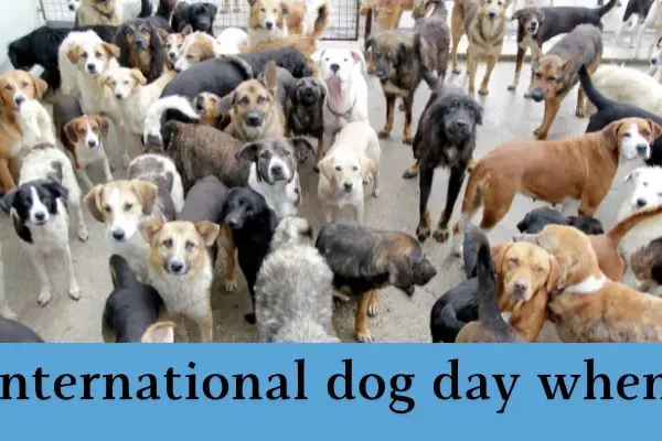 You must read International dog day 2024