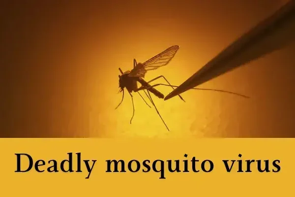 You must read deadly mosquito virus