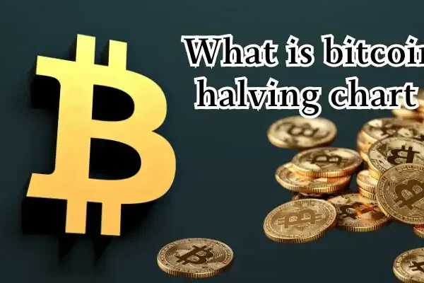 must read; What is bitcoin halving chart