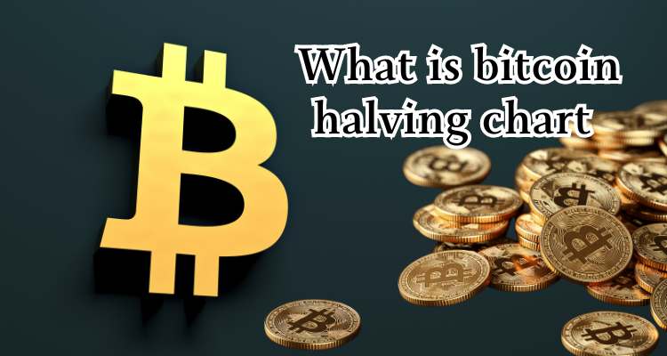 must read; What is bitcoin halving chart