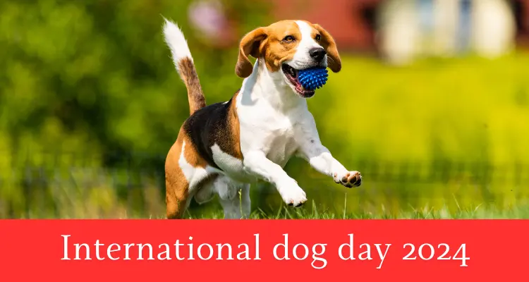 International dog day 2024