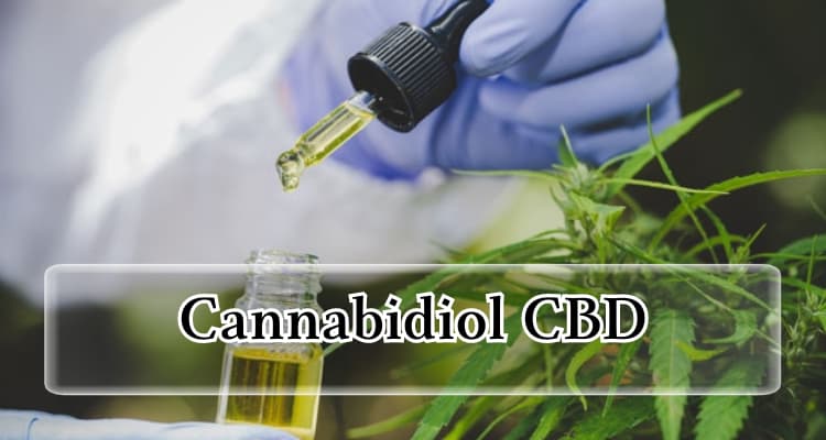 Cannabidiol CBD