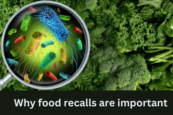 Must read; Why food recalls are important