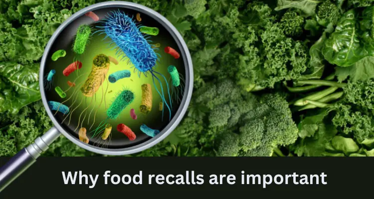 Must read; Why food recalls are important