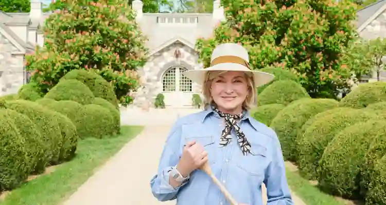 Martha Stewart Biography