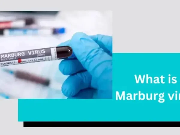 What is Marburg Virus