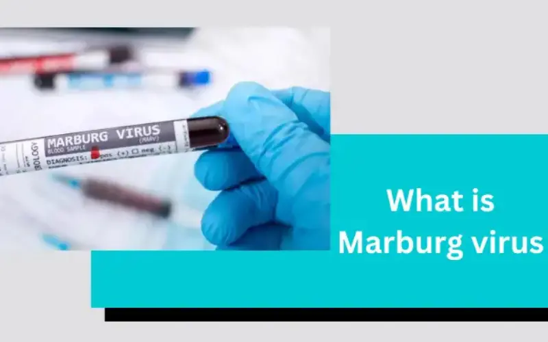 What is Marburg Virus