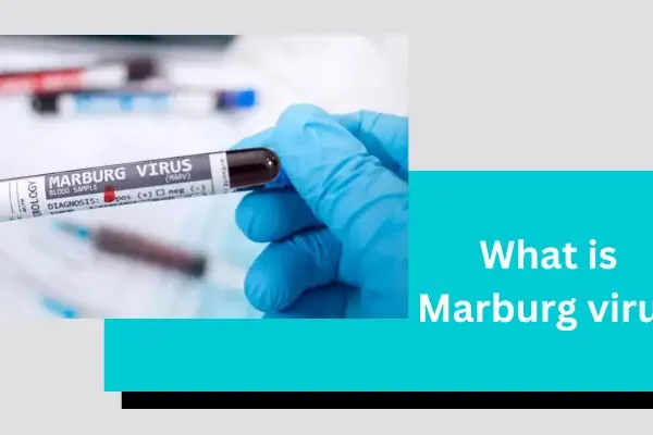 What is Marburg virus