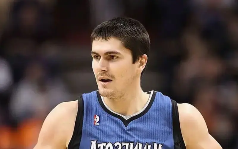 Darko Milicic Present Net Worth