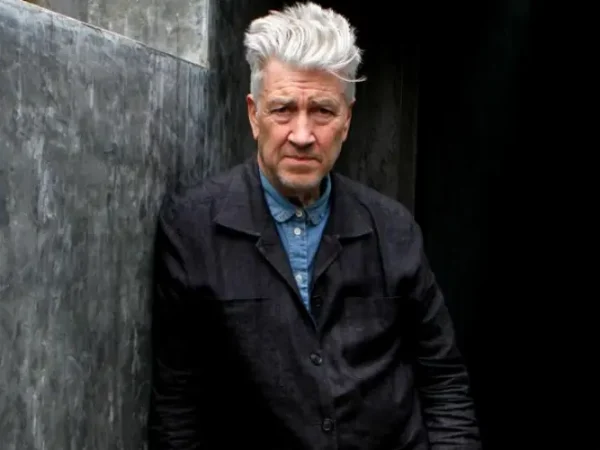 David Lynch professional life