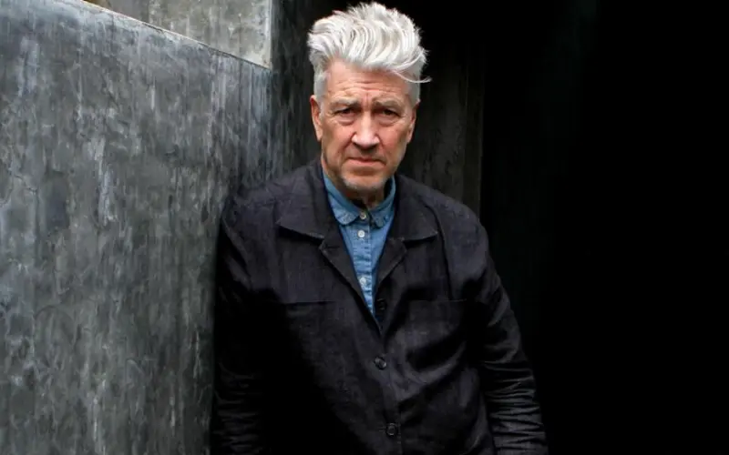 David Lynch professional life